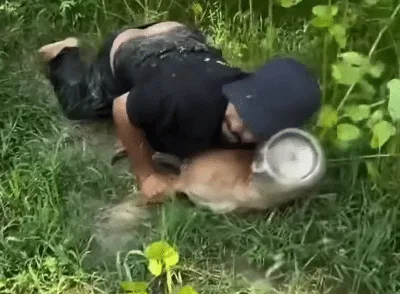 A muddy rescuer holding a stray dog in the swamp as he works a plastic container loose from the dog's head