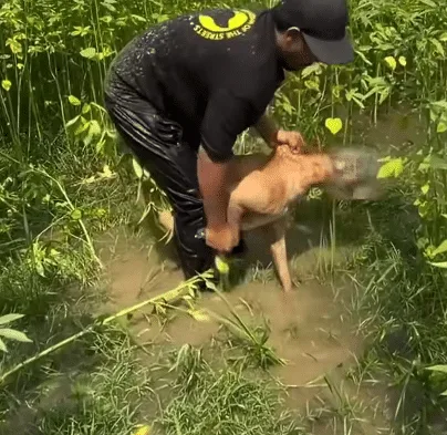 A mud-covered man smiling after freeing a stray dog from a plastic container in a swamp