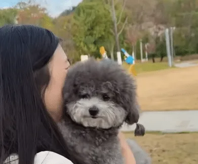 A cheerful small dog relaxing at home with her devoted new family