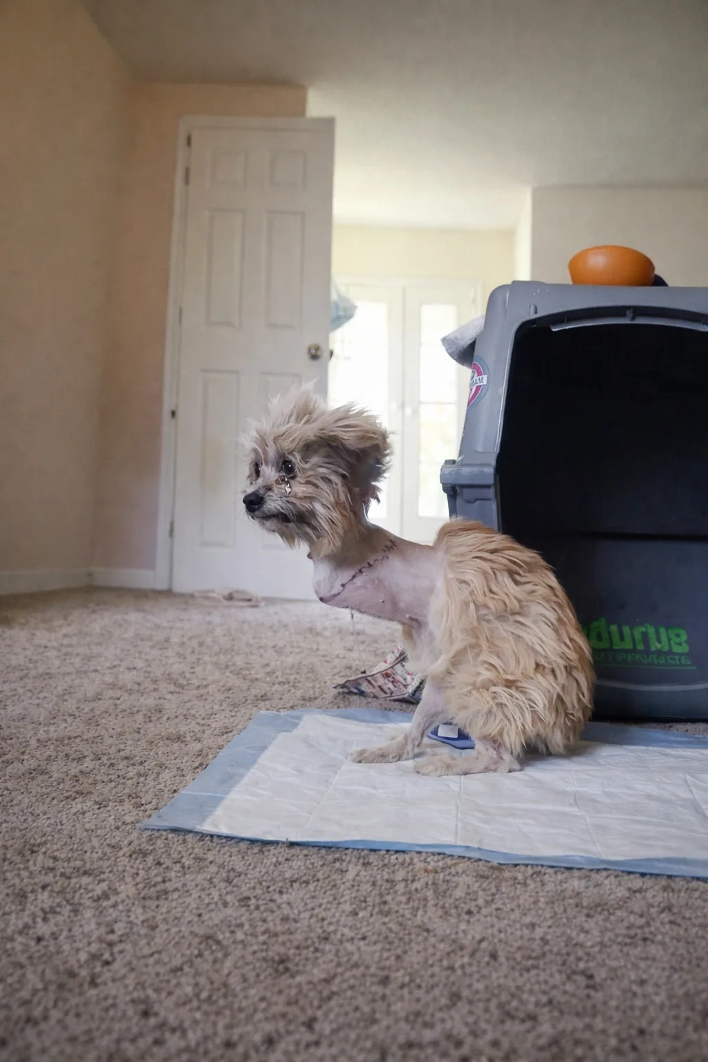 Noel Waited Alone in a Hospital Room, Then a Family Gave Her Wheels and a Place to Belong