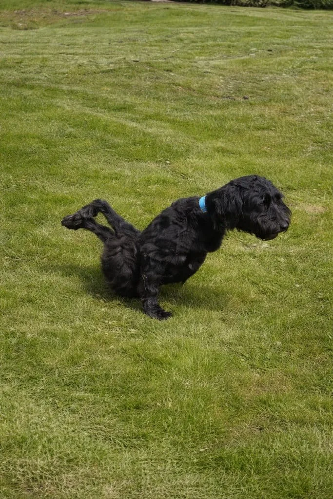 Rupert Was Born With Severe Deformities — Then One Family Chose a Hard Road for Him