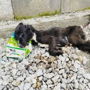 Three-Month-Old Adam Lay Motionless On A Cold Street — Then The X-Ray Revealed Why